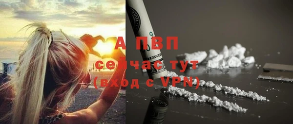 apvp Вязьма